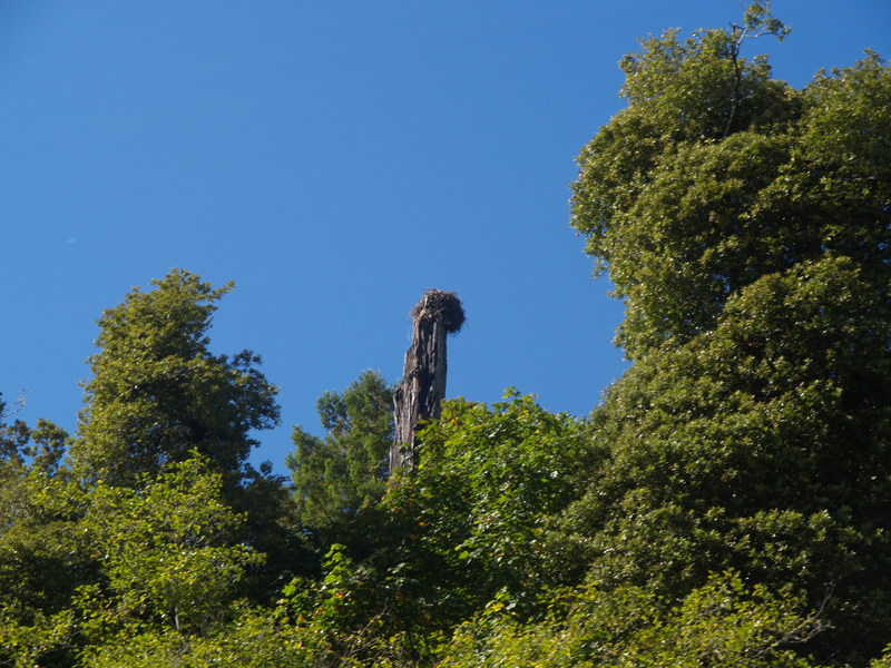 P9233451