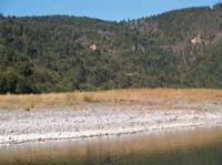 P9233292