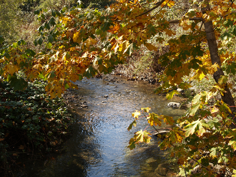 ah-pah-creek7