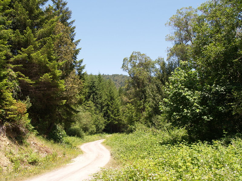 road-to-blue-creek-ah-pah