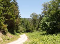 road-to-blue-creek-ah-pah