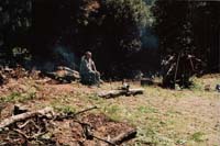 Willard-at-rest